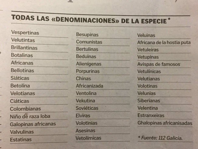 galicians of late capitalism tweet media