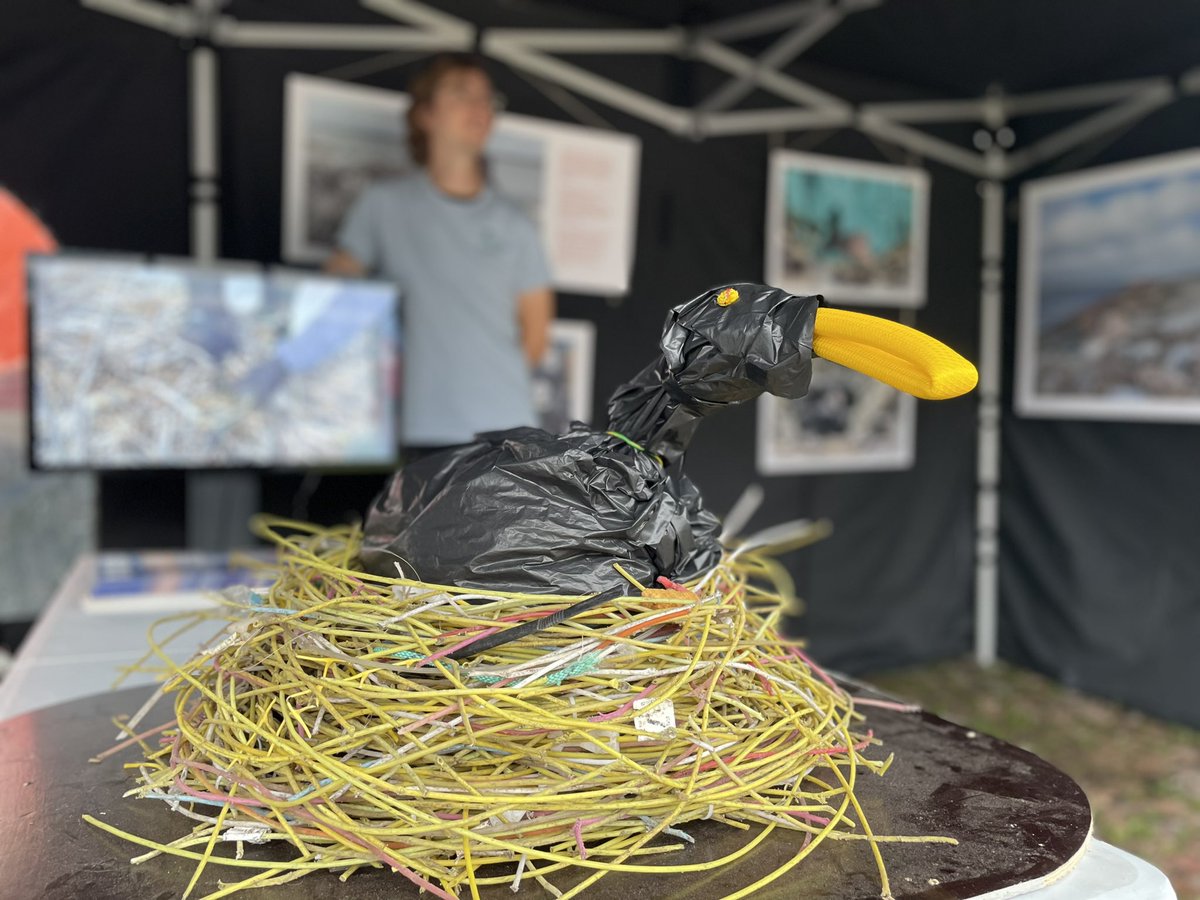 Hyvää #Itämeripäivä’ä! 🌊

Tule moikkaamaan meitä Pakkahuoneenlaiturille Helsinkiin, vieressä myös <a href="/SYKEinfo/">Suomen ympäristökeskus</a>’n tutkimusalus #Aranda’n avoimet ovet!

#BIODIVERSEA <a href="/jnurmisensaatio/">John Nurmisen Säätiö</a> <a href="/Metsahallitus/">Metsähallitus</a>