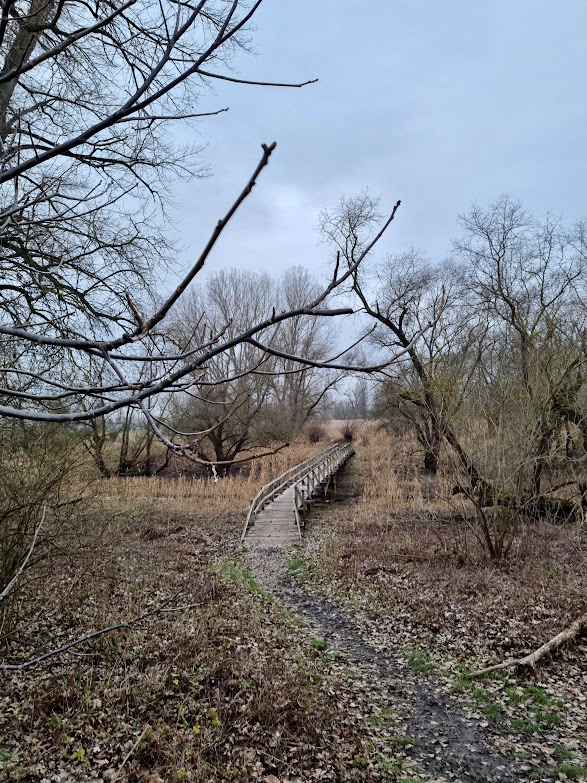 1. Episode meines Podcasts "Wirschum wandert" - Lampertheimer Altrhein open.spotify.com/episode/5NNJvg…
oder podcasta26deb.podigee.io/2-new-episode