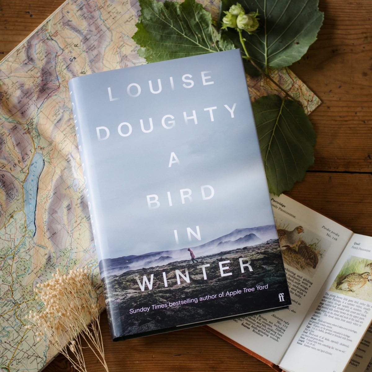 'Pacey and propulsive.' Guardian
'A gripping spy narrative.' Marie Claire
'A real page-turner.' Radio Times

Happy publication day to <a href="/DoughtyLouise/">Louise Doughty</a>! A Bird in Winter is available now from all good bookshops ☁️