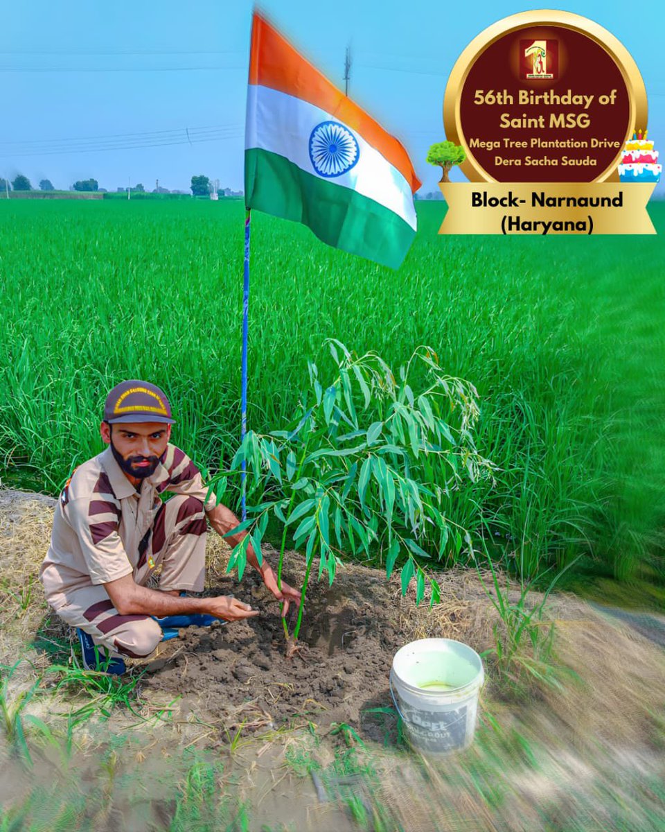 DSSNewsUpdates's tweet photo. Planting seeds of faith, hope, and love. Celebrating Saint Dr. Gurmeet Ram Rahim Singh Ji Insan's  56th birthday ‘MSGBhandara’ with a promise to our planet. Dera Sacha Sauda  Volunteers are turning this special day into a green milestone! Join us in this tree plantation drive, as we grow hope for the future. #SaintDrMSG #DeraSachaSauda #TreePlantation