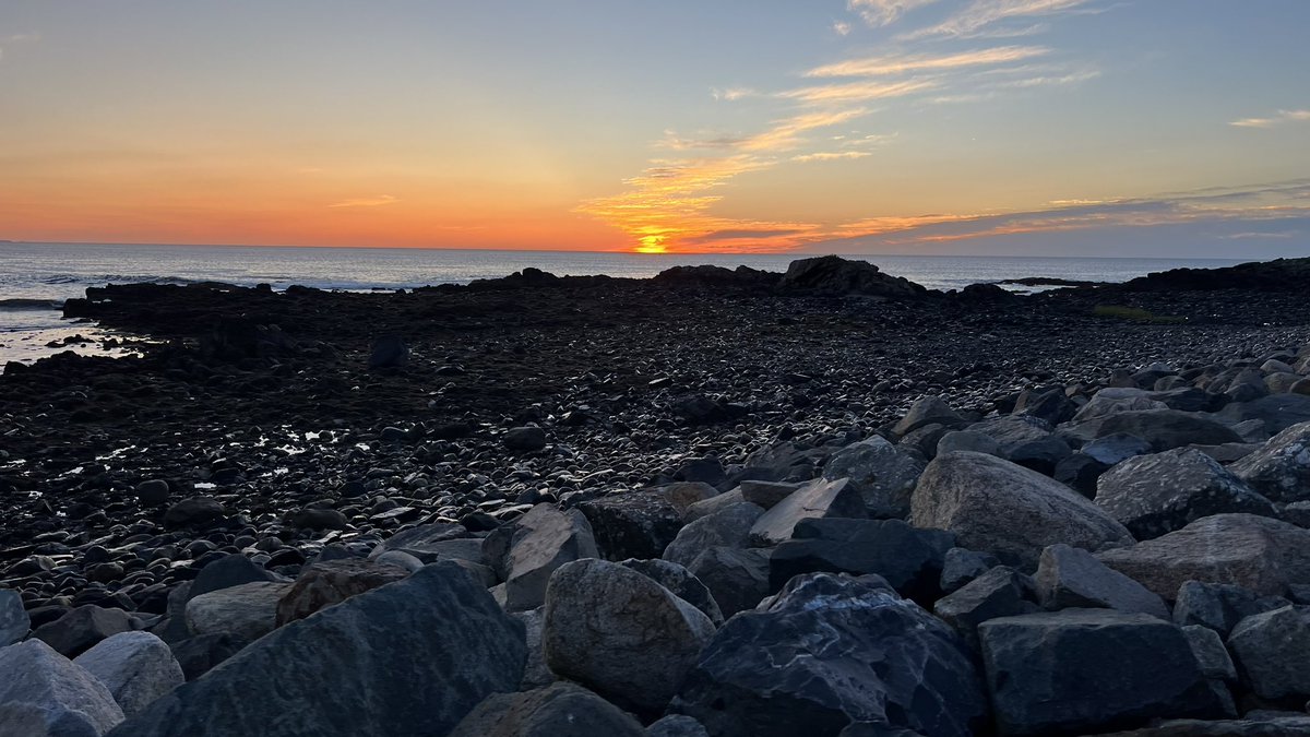 A great day to have a great day!