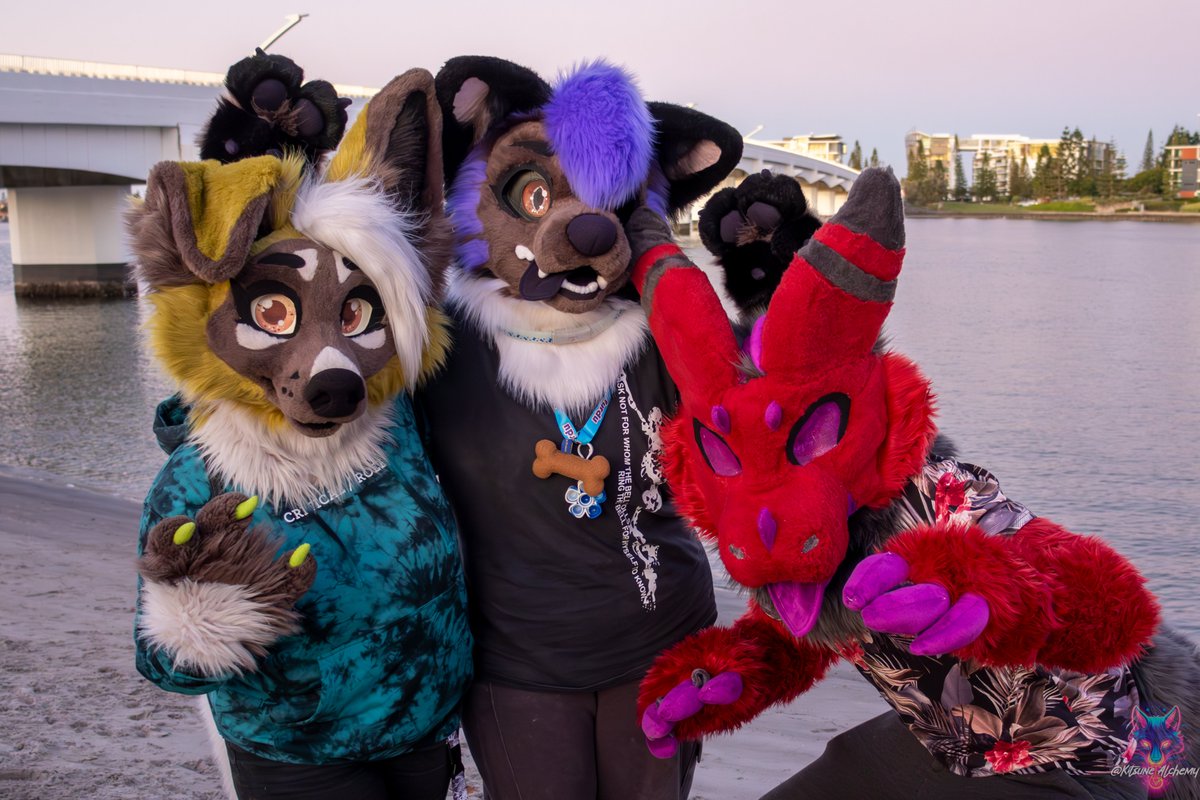 semper144p's tweet photo. #GCFM a few weeks back with the gang @stravaiig and @AquaticPlatypus
Thanks for making every meet special <3
📸 by https://t.co/qbADnS7xLw
And I gotta thank @GATORSPOTS again cause I love semp so so much :3 https://t.co/83Ynlsz2pp
