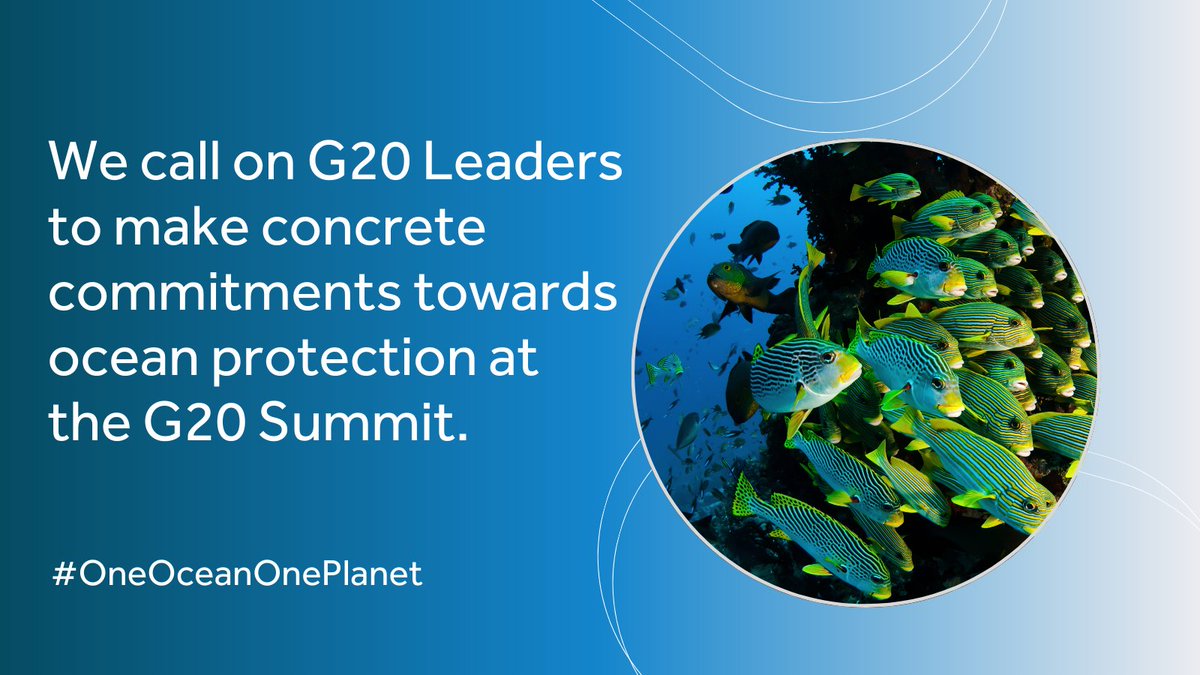 📢 Calling @g20org leaders: The health of our planet demands urgent action! As we head into the #G20Summit, show leadership for strong commitments to protect our #ocean 🌊 #30by30 #RaceForRatification #ProtectAntarctica #DefendTheDeep #OneOceanOnePlanet