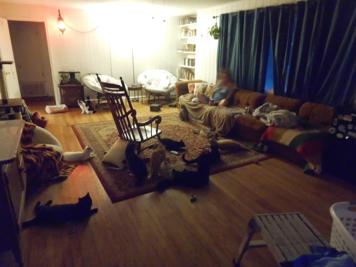 Pigpen🦁🐍 tweet media