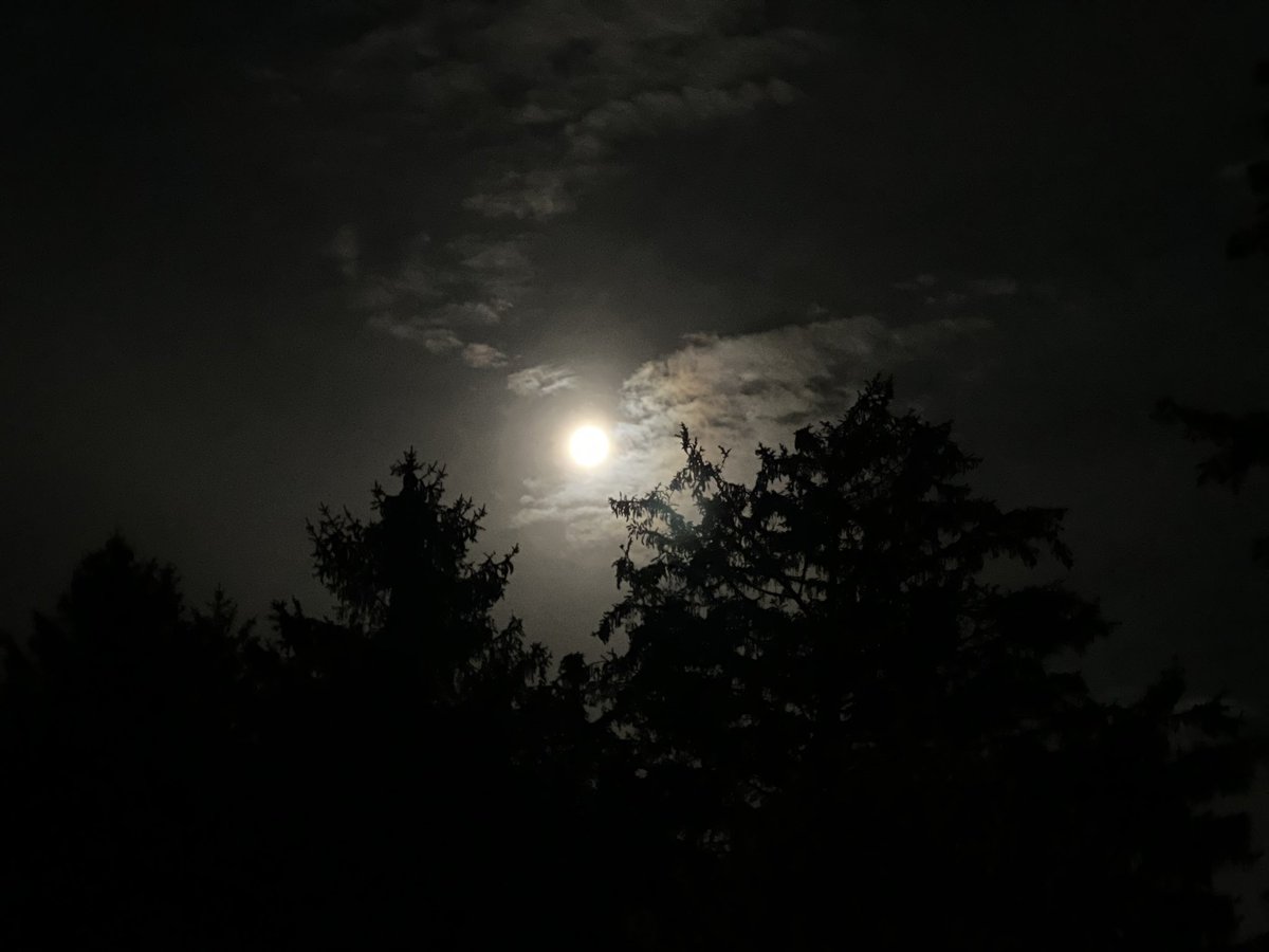 badlerJCC's tweet photo. The Blue Moon over Linwood…

#6abcAction #Blue_Moon #Lovewhereyoulive @karenrogers6abc https://t.co/sgJBZRY4T6