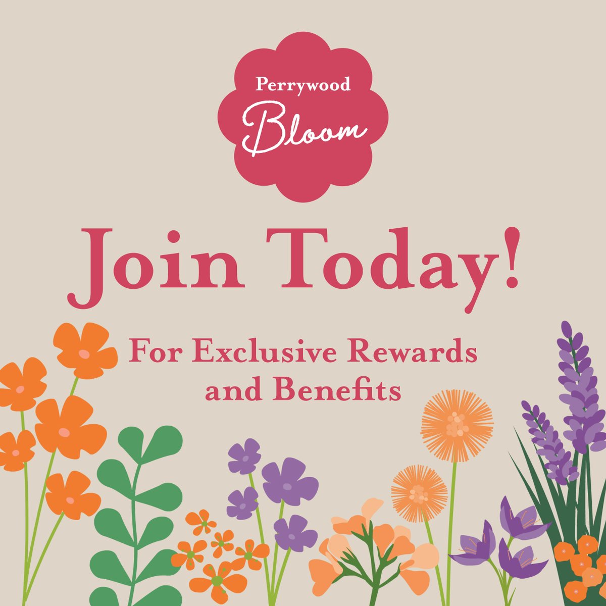 JOIN OUR NEW BLOOM LOYALTY PROGRAMME!

Download our smartphone app by searching for '𝗣𝗲𝗿𝗿𝘆𝘄𝗼𝗼𝗱 𝗕𝗹𝗼𝗼𝗺' in your Apple app store or Android Google Play library.

Visit our website for more information on rewards and benefits perrywood.co.uk/bloom.