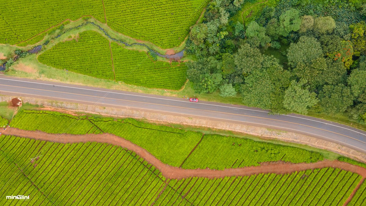 mangunyi's tweet photo. Drone shots by @mintglintmedia #MintGlint https://t.co/CKTbZGwDQl