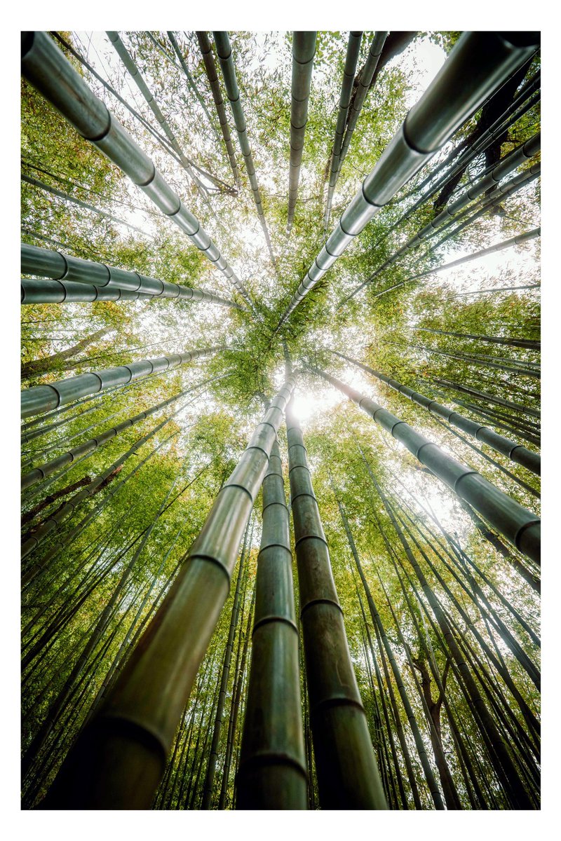 A creative adventure. 20 minutes outside of downtown Atlanta.