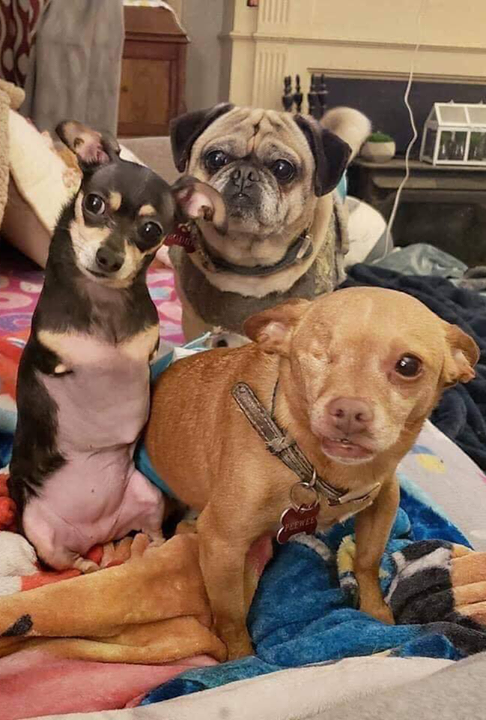 In my eyes all of you are perfect ❤️