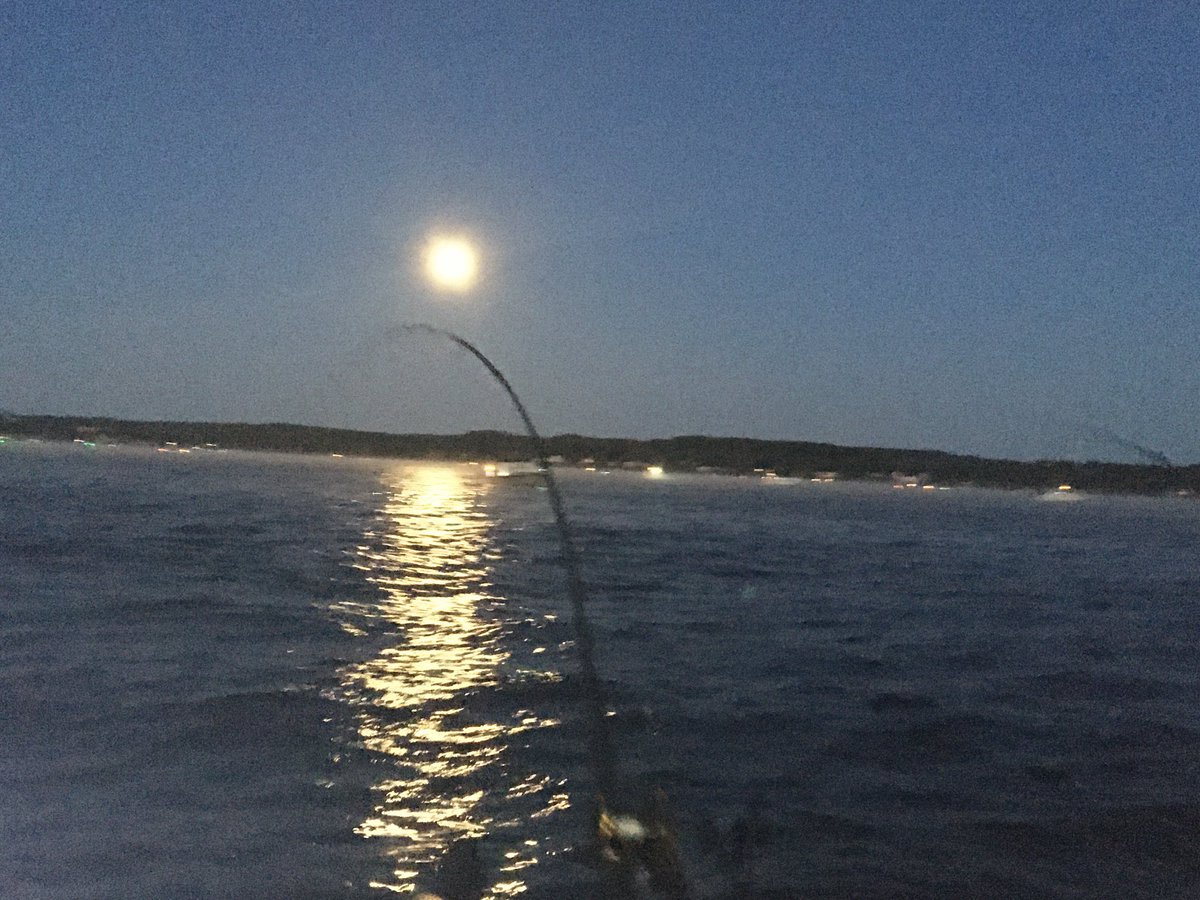 Fishing under #superbluemoon  home stretch of # salmonspectacular ⁦<a href="/SSAOwenSound/">SydenhamSportsmen</a>⁩ <a href="/gbyersfish/">Gary Byers</a> ⁦<a href="/NewsBayshore/">Bayshore News</a>⁩ ⁦<a href="/JessLint/">Jessica L</a>⁩ ⁦<a href="/GymClassJamie/">Jamie Johnston</a>⁩ ⁦<a href="/Watsden/">D Watson</a>⁩ ⁦<a href="/LarryMillerMP/">Larry Miller Retired</a>⁩