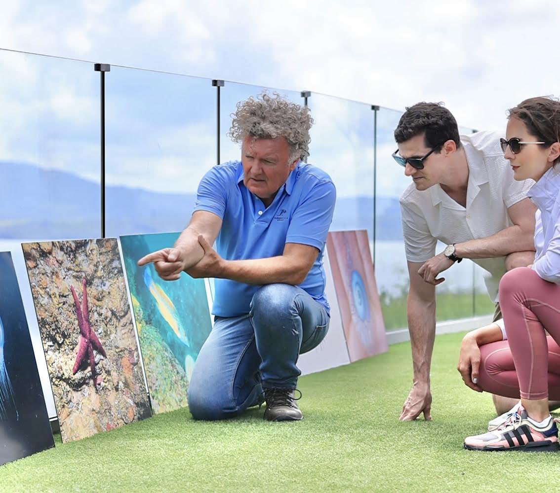 Would you like to learn how to identify and photograph coastal wildlife including birds, flowers, insects, trees, seaweed, fish and invertebrates? Then come & join Vincent for a walk along Parknasilla’s seashore.  #OriginalIrishThursdays #originalirishhotels @OriginalIrishHt