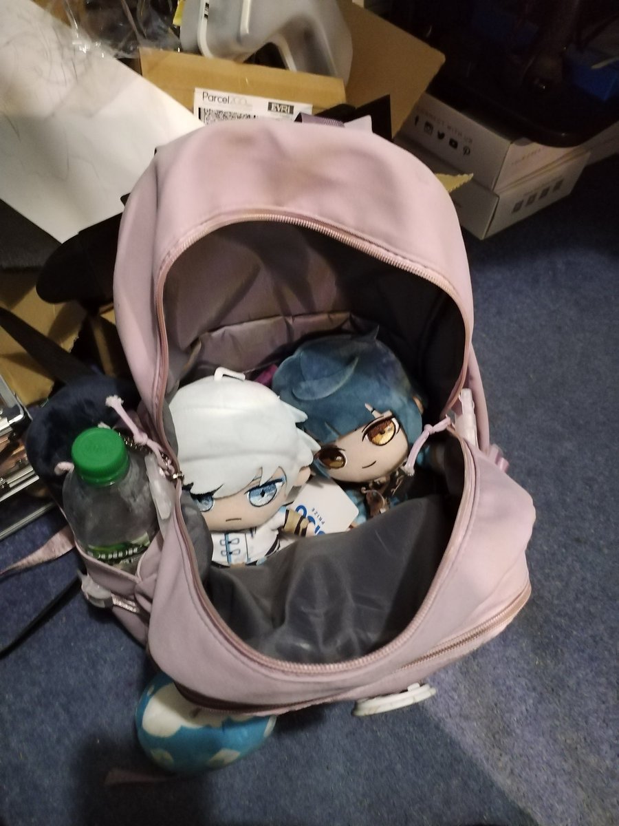 WillRitch360's tweet photo. The £75 I spent on them was worth it they look so cute together I will take them wherever I go Chongyun's excess of Yang energy will keep me safe https://t.co/GuPhVP3W1y