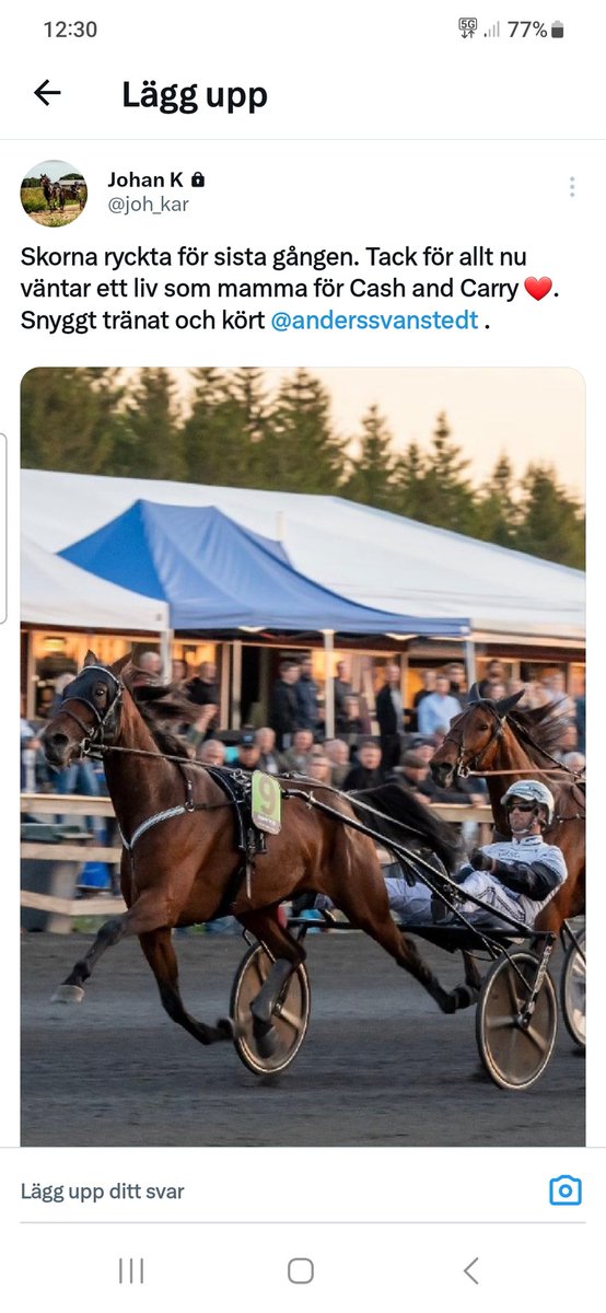 Anders Svanstedt tweet media