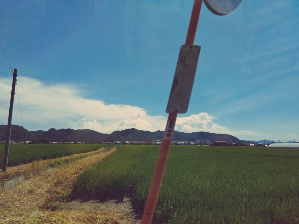 tanabata_box's tweet photo. #photography 
#カメラ女子
#写真好きな人と繋がりがたい 
#青空
#雲
#田んぼ
#カーブミラー https://t.co/D7J3AxBCu1