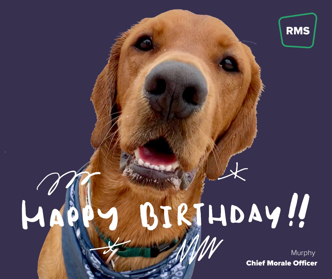 🎉 Big shoutout to our Chief Morale Officer on his 5th birthday today! 🐾🥳

...seriously, why haven't all boardrooms gone to the dogs? 🤷‍♂️ 

Join Murph's office paw-ty and show off your own office canine chaos!

#PawficeParty #officedog #MurphsPawsomeBirthdayBash