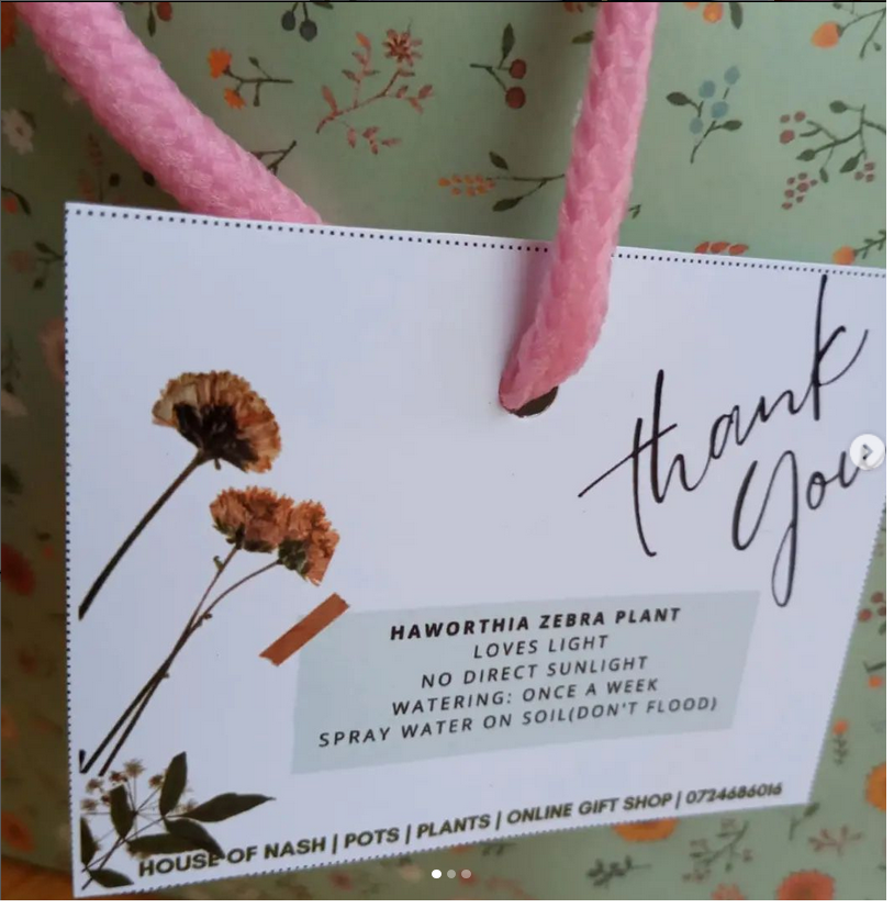 HouseOfNashKe's tweet photo. Passionate about indoor plants and succulents? Explore a realm of live  plants and gifts by treating yourself to something special from the  House of Nash online shop today.
#indoorplants #nakuru #succulentsnakuru #pottedplantsnakuru #pottedplants https://t.co/Mgi9O5tf8B