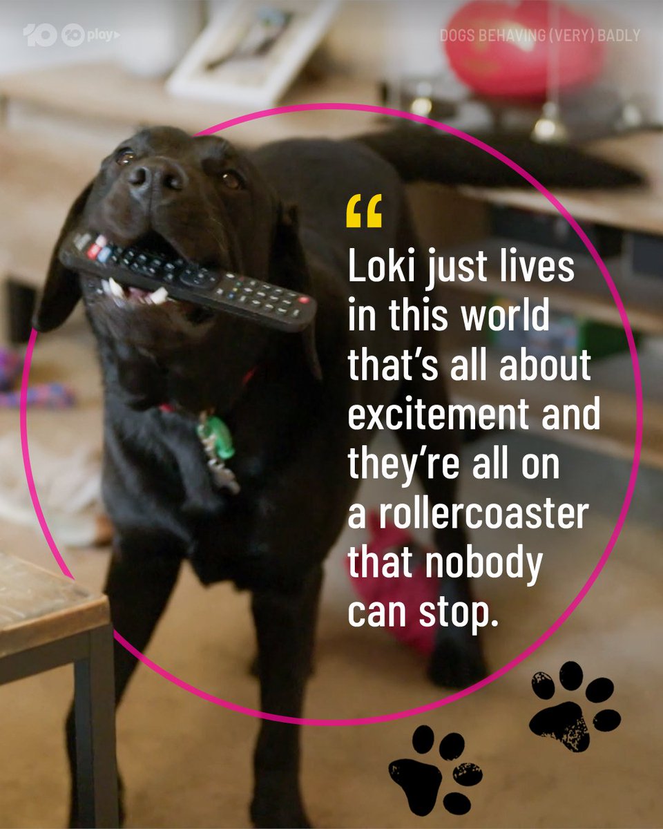 DogsBehavingAU's tweet image. Looks like these naughty doggos are living in their own furry little worlds 🌏
#DogsBehavingVeryBadlyAU

@GraemeDogfather @Ladyjmo #DogsofAustralia #AussieDogs #DogTraining #DogTrainingAustralia #DogTrainingTips #DogTrainingAdvice