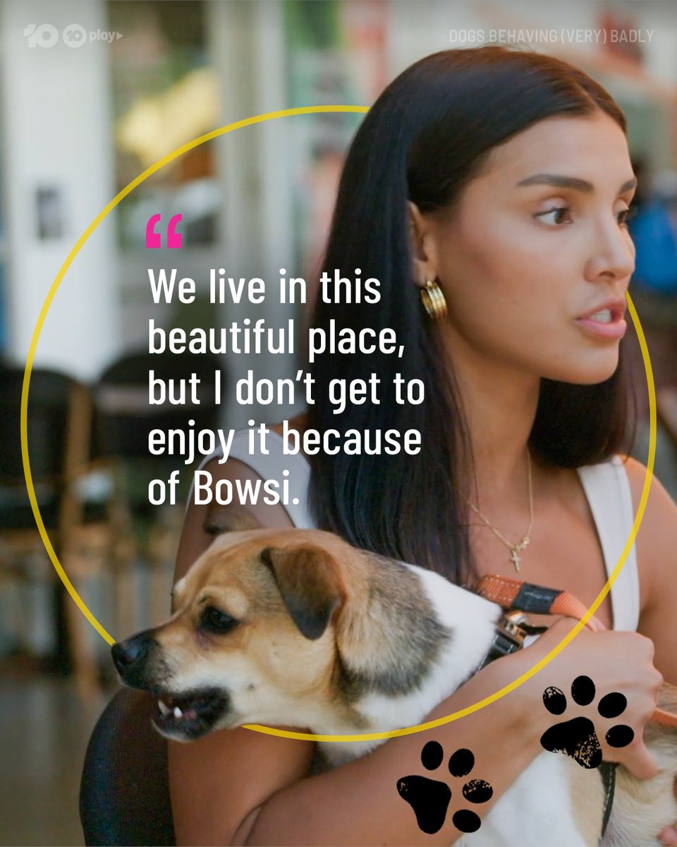 DogsBehavingAU's tweet image. Looks like these naughty doggos are living in their own furry little worlds 🌏
#DogsBehavingVeryBadlyAU

@GraemeDogfather @Ladyjmo #DogsofAustralia #AussieDogs #DogTraining #DogTrainingAustralia #DogTrainingTips #DogTrainingAdvice