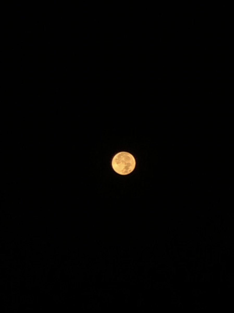 huooooop's tweet photo. my nights’ companion
🌚 #SuperBlueMoon 🌝 https://t.co/EY0pw0ufVP