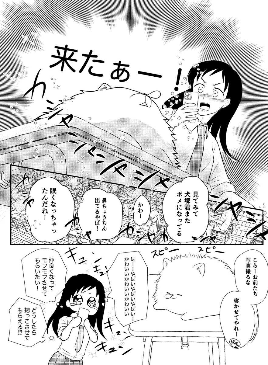 隣の席の男の子と仲良くなりたいわけ2/2 