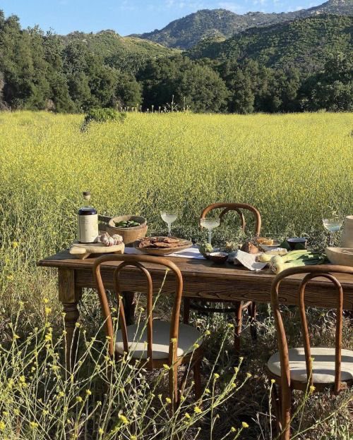 pradavante's tweet photo. surrounded by nature 🌿 https://t.co/aGW8aEuu0c