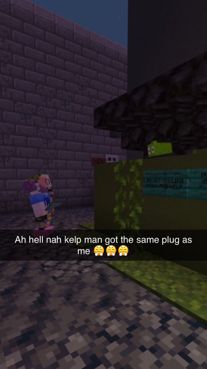 KelpChronicles's tweet image. #kelp #man #kelpman #Minecraft #mc #kelpchronicles #snapchat