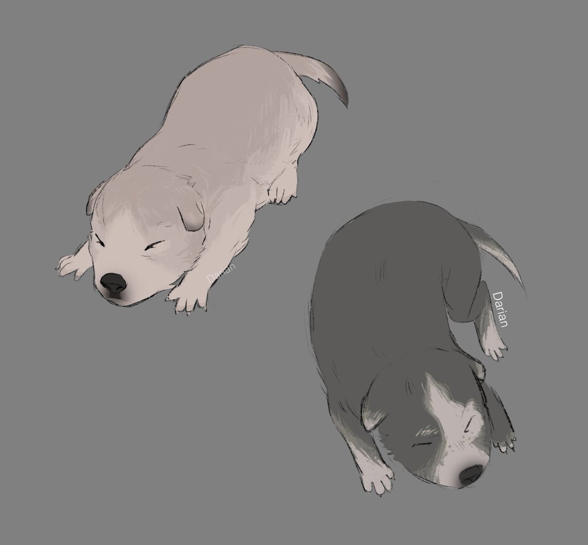darian_keff's tweet photo. Anyways, miren perritos que hice para mi Au de hombres lobo https://t.co/qLTUynLu4e