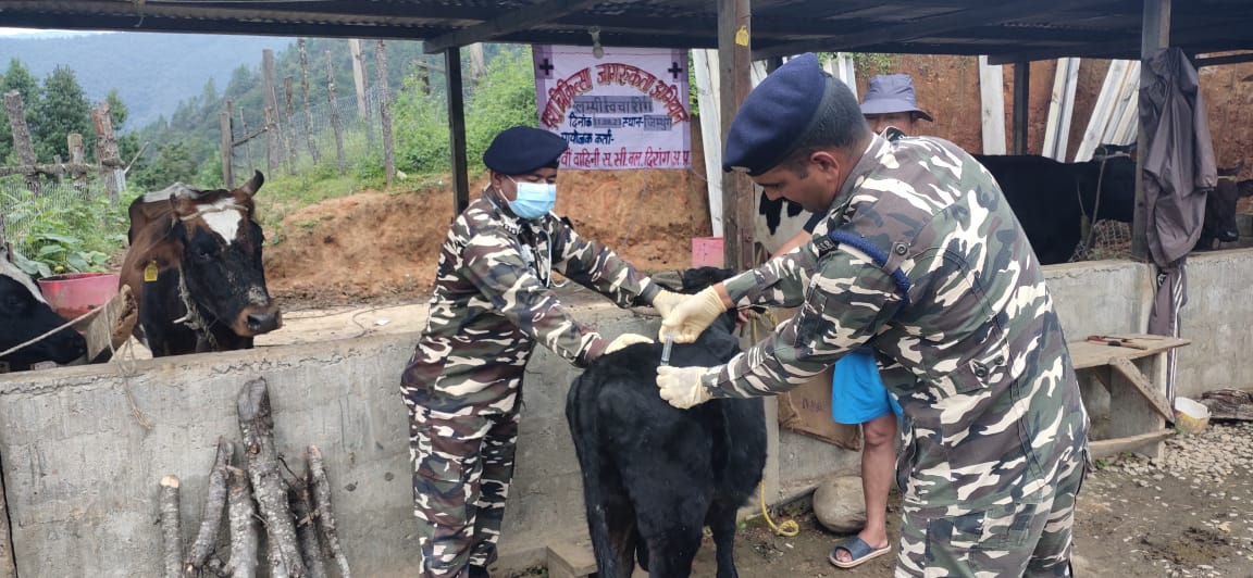 दिनांक 31.08.23 को @30BnSSB_INDIA द्वारा डॉ०. सुधीर संगमा, द्वितीय-कमान अधिकारी (पशु चिकित्सा) द्वारा ज़िम्थुंग गाँव मैं लम्पी चर्म रोग से रोकथाम करने हेतु जागरूकता अभियान चलाया गया तथा 08 पशुओं का इलाज किया गया I #ssb_india #30bnssb_india