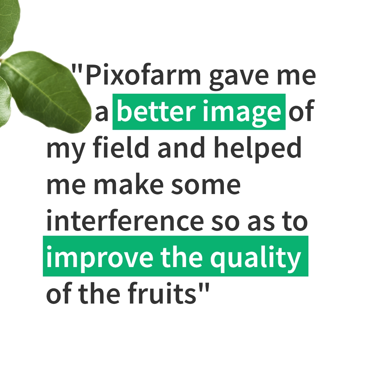 Pixofarmapp's tweet photo. Meet George Foukalas 🧑‍🌾, the visionary behind the lush apple orchards in Agia Larisas, Greece. With the Pixofarm app, traditional farming gets a futuristic twist, and the results? Simply astounding! Read the full story here: https://t.co/FpAQqSTa5R

#Agtech #Precisionfarming https://t.co/OmHVLdxgJ6