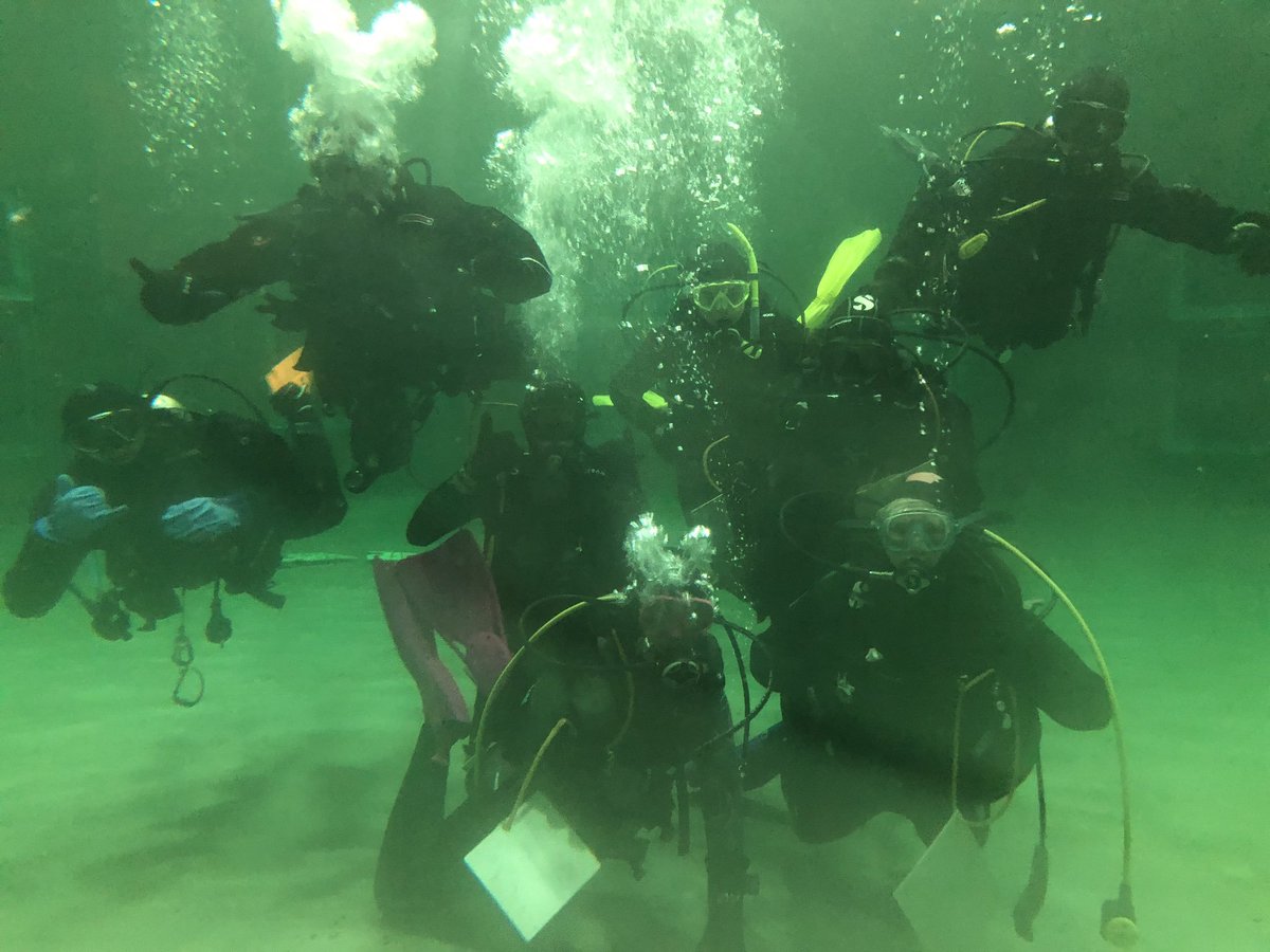 SEASIDE Dalhousie tweet media