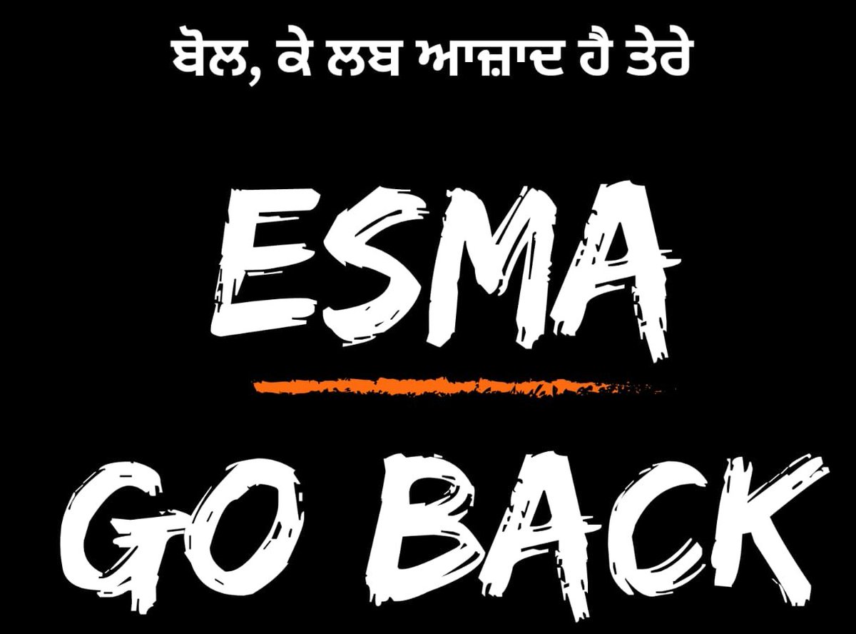 Noor Sidhu tweet media