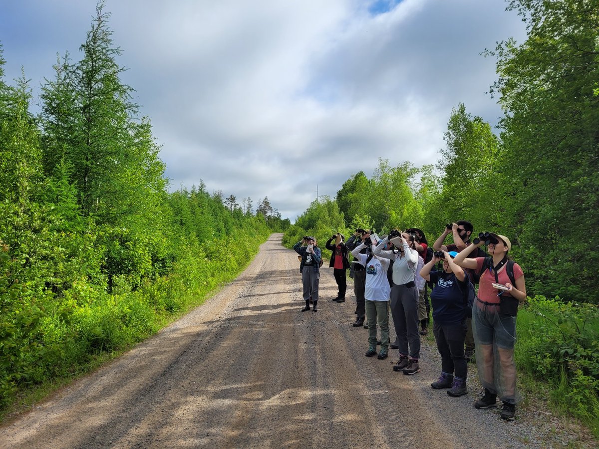 SEASIDE Dalhousie tweet media