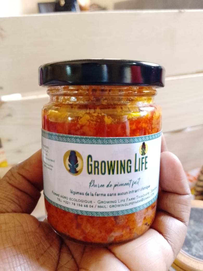 GrowingLifeshop's tweet photo. Jeu concours GROWING LIFE.
Remportez un panier de fruits légumes et conserves Growing Life ! 

Les règles sont simples. 
Follow @GrowingLifeshop 
Like + rt la publication https://t.co/5Dr4MHNwuJ