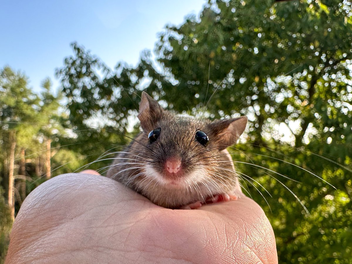 У нас с Брунгильдой спор и даже почти конфликт, потому что я за «ура, ну наконец-то осень!», а она из тех, кто «в смысле последний день лета?!?!». Вы с кем заодно?