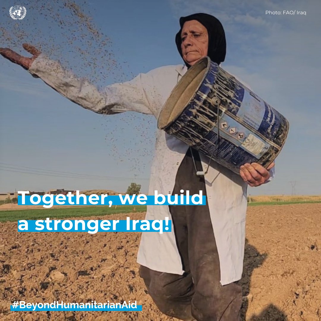 Food security matters! @FAOIraq is committed to supporting Iraq's transition from humanitarian assistance to sustainable development, focusing on food security, agriculture, and rural livelihoods. #BeyondHumanitarianAid