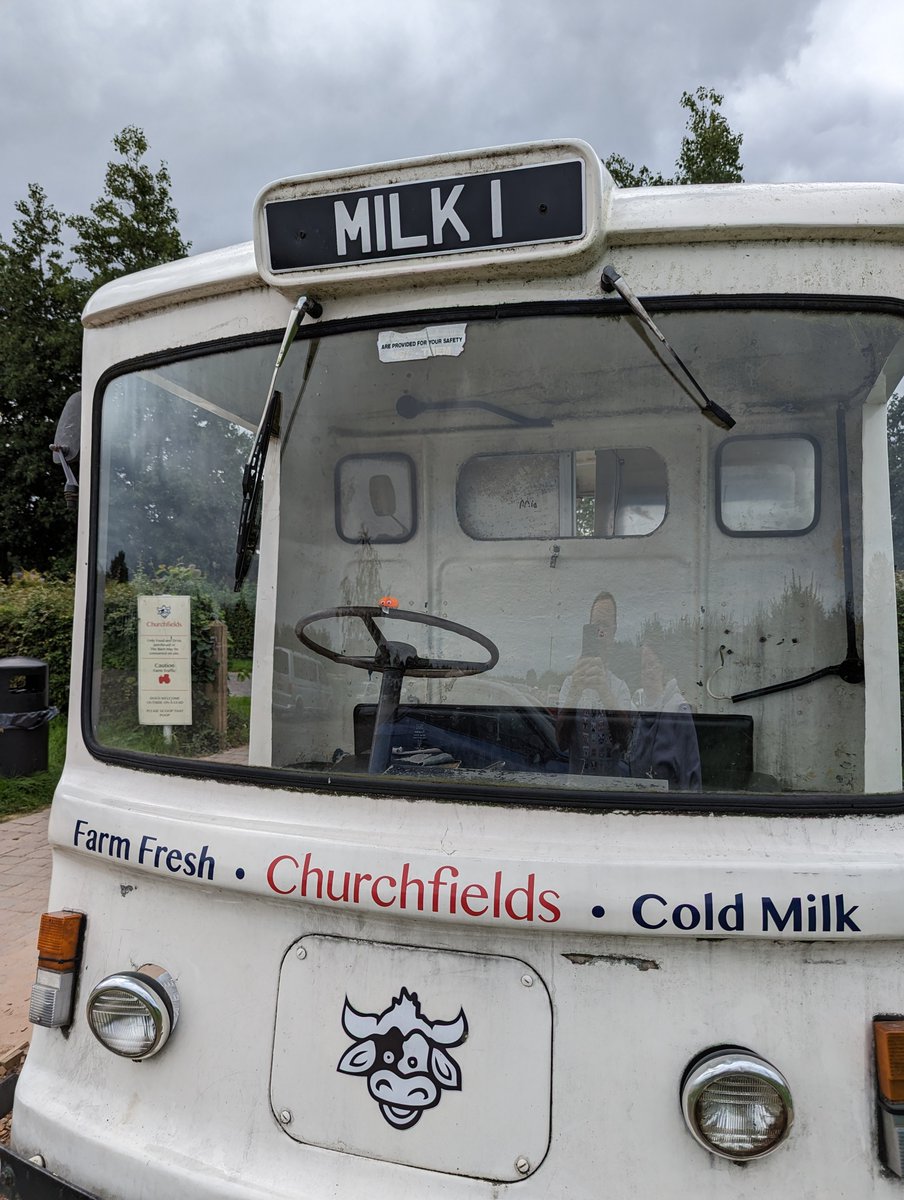 SavientBugs tweet media