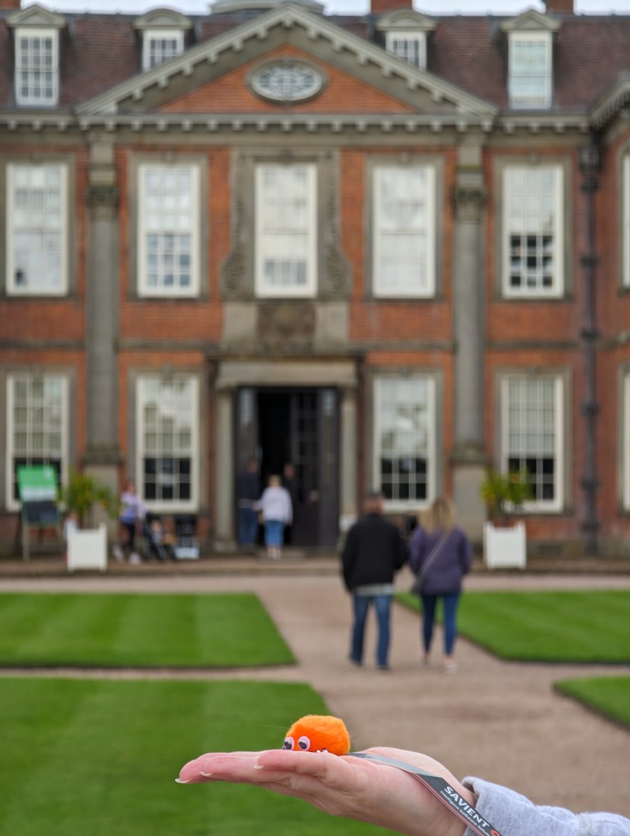 SavientBugs tweet media