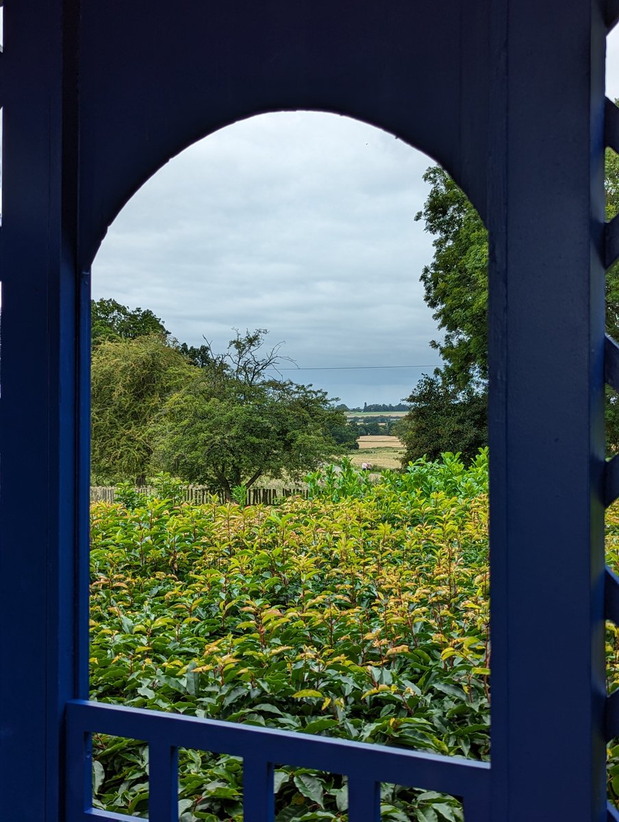 SavientBugs tweet media