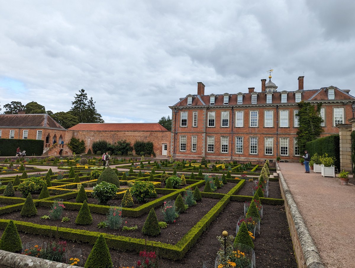 SavientBugs tweet media