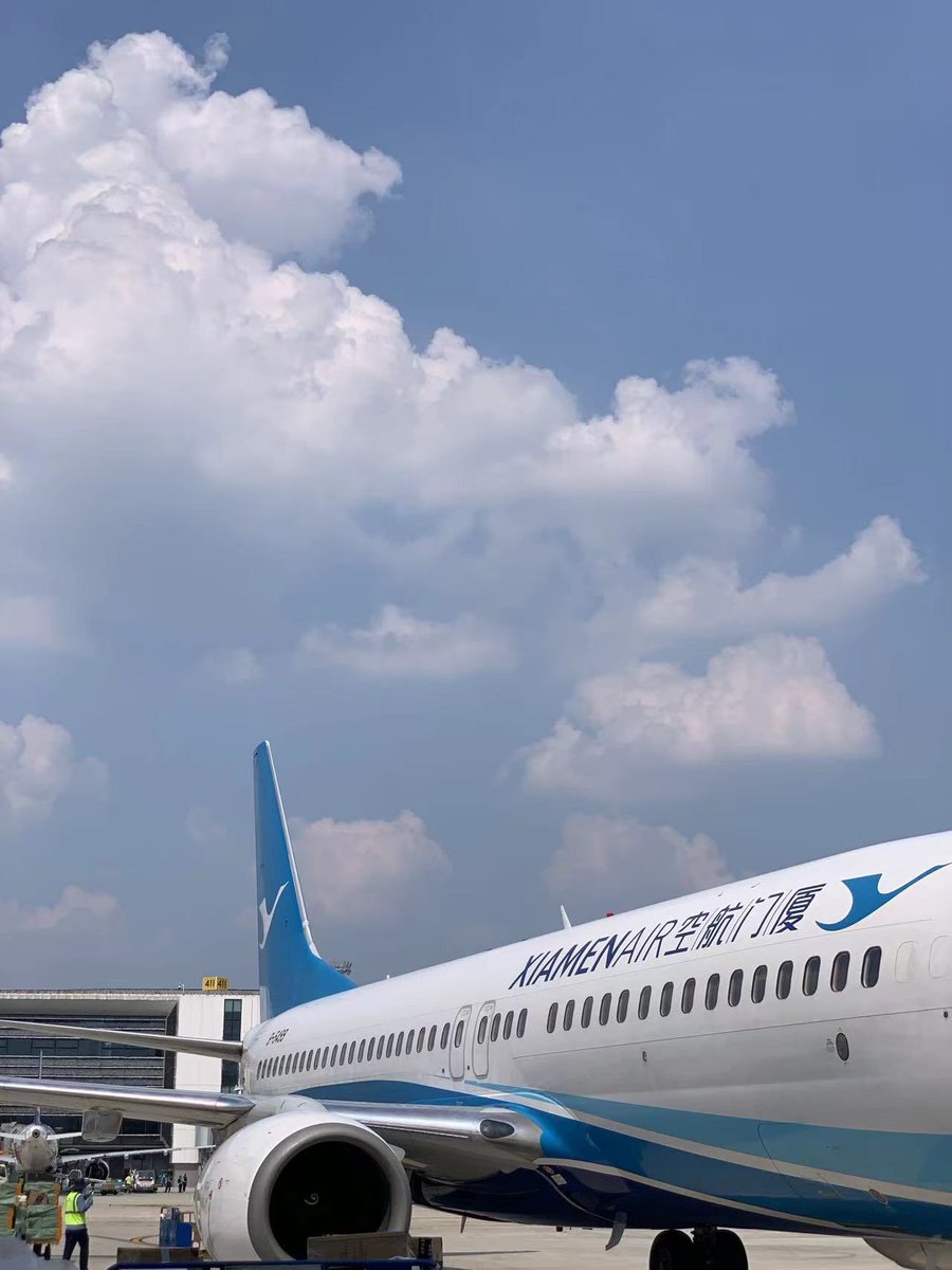 XiamenAirlines's tweet photo. As the horizon blends with the heavens, our egret finds a peaceful pause, nestled within the open embrace of the sky's canvas. https://t.co/SGf8w7mWmL