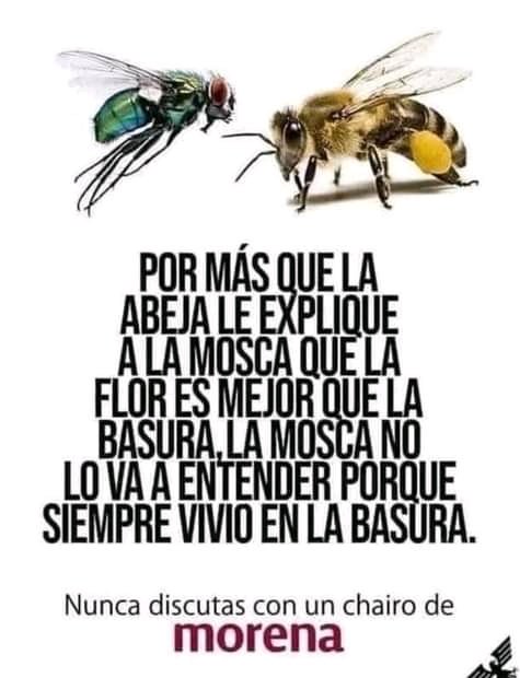 manuel_alamilla's tweet photo. No se vayan a enojar #Chairos...
👇👇👇

#MorenaEsUnPeligroParaMéxico https://t.co/i5Ee8RBQ6W