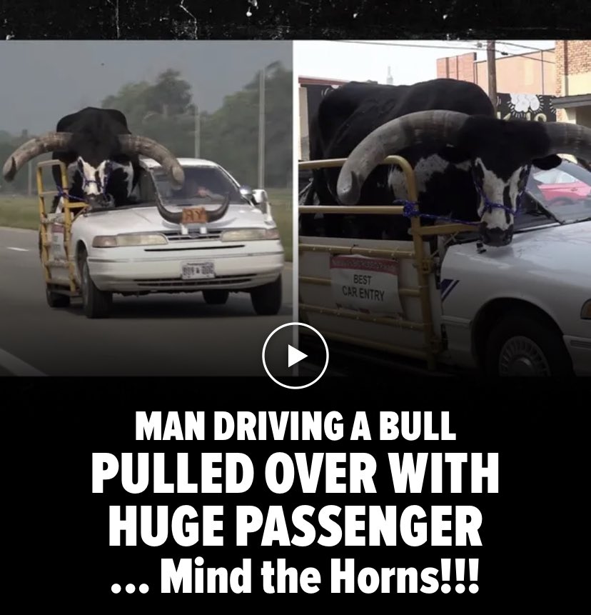 Morell4Luis's tweet image. #Poderosamente @eltalcha @ruleiro