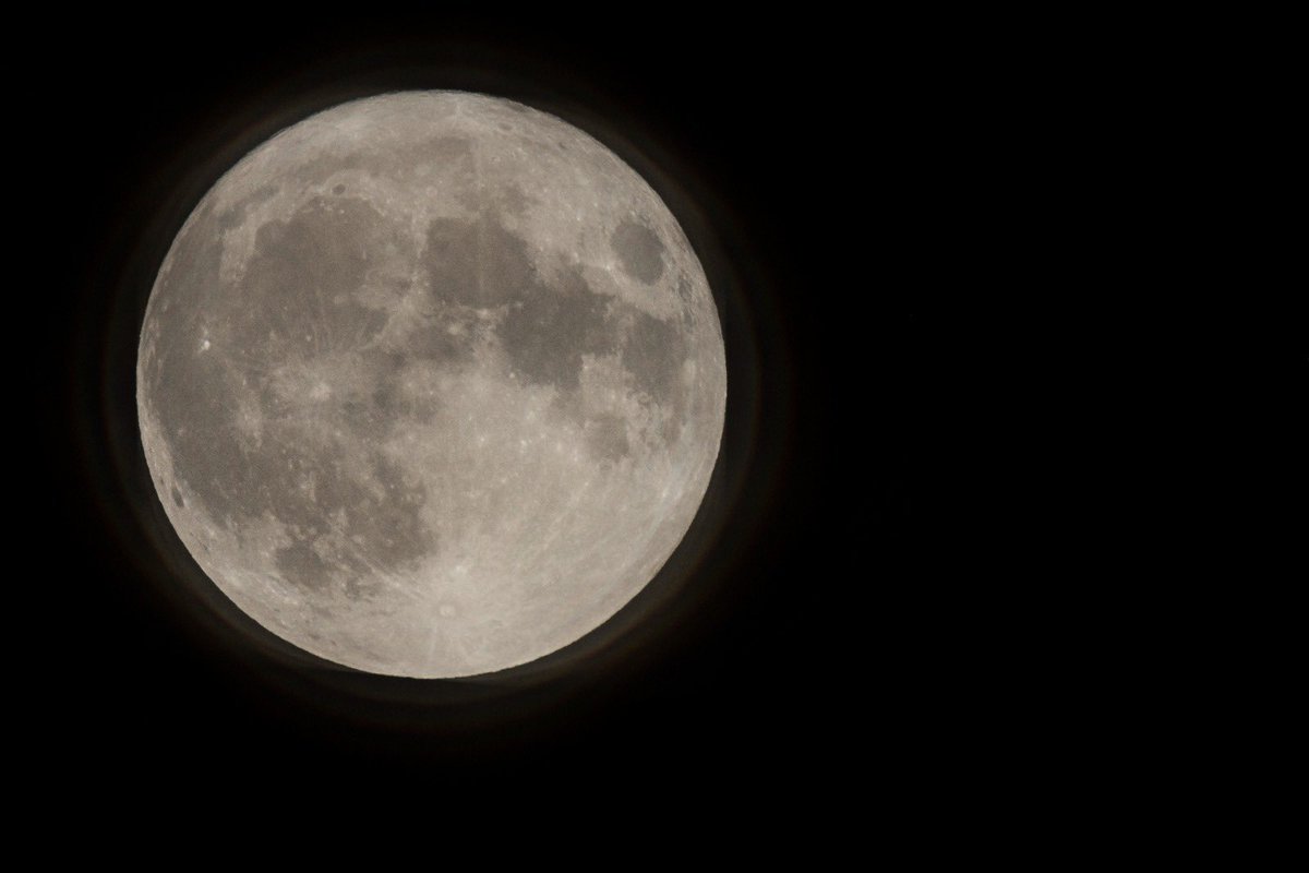 RizwanNft's tweet photo. Last night #supermoom https://t.co/IYnPaKMkcH