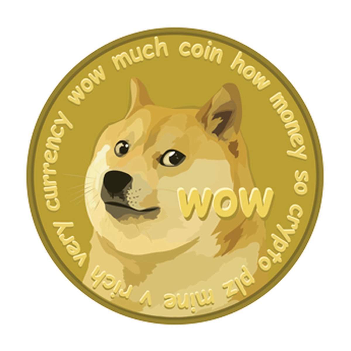 Sir Doge of the Coin ⚔️ tweet media