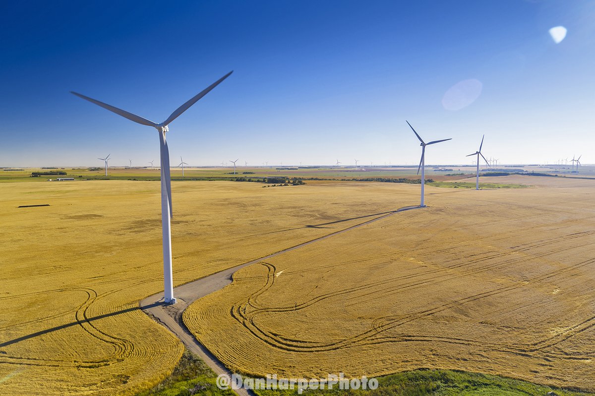 DanHarperPhoto's tweet photo. Is this the most #WindTurbines in ONE photo?
Can you count how many there are?
The answer may stun you!
It's 57.
There are 63 turbines at the #StLeon #Manitoba #WindFarm so I captured 90% of them in ONE shot.
Cool!
#Winnipeg #Drone #WinnipegPhotographer #LicensedDronePilot https://t.co/NnmKNLevZG