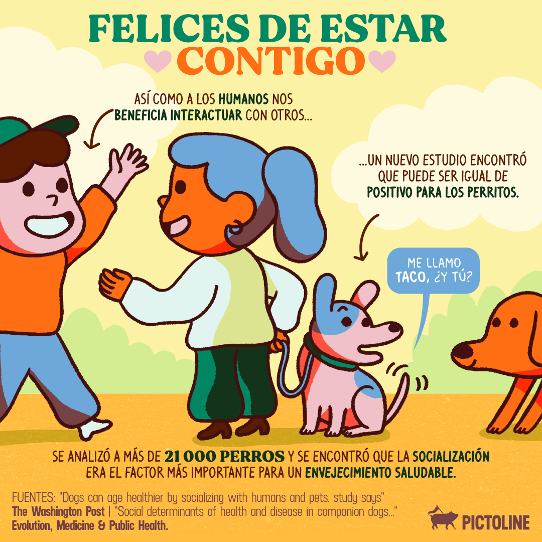 pictoline's tweet photo. Felices de estar contigo 🐶💖
A tu perrito le beneficia tanto como a ti interactuar con otros: https://t.co/Baj5ChwJ5S