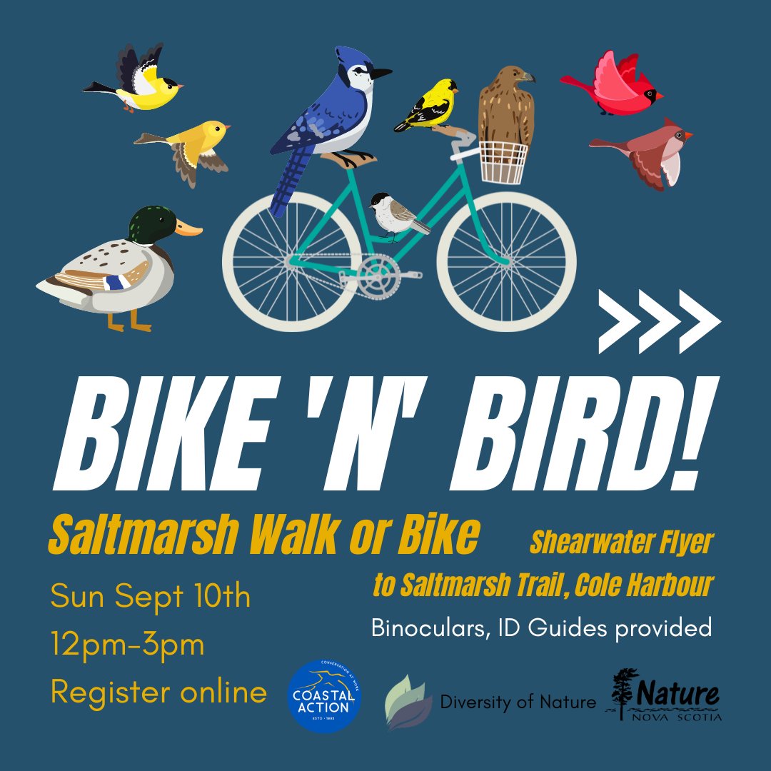 Hey everyone, join us for our bike (or walk) and bird event, where we will explore salt marsh bird diversity and conservation! Free bike rentals available! Sign up at: diversityofnature.com/signup