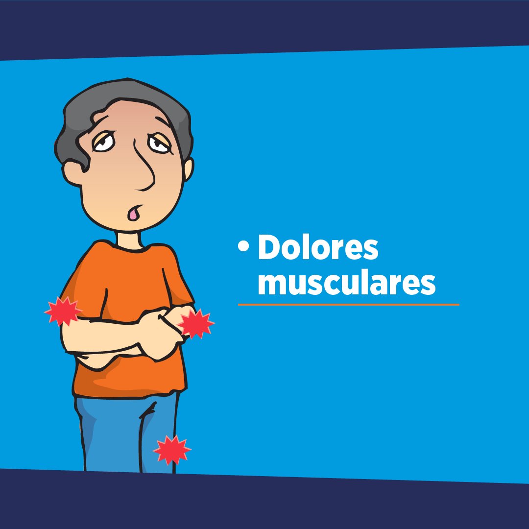 Salud_Ec's tweet photo. #NuestroTrabajoContinúa | Si presentas síntomas como fiebre, dolor de cabeza y muscular, no te automediques, puede ser #Dengue. https://t.co/1mvrDTuDPC
