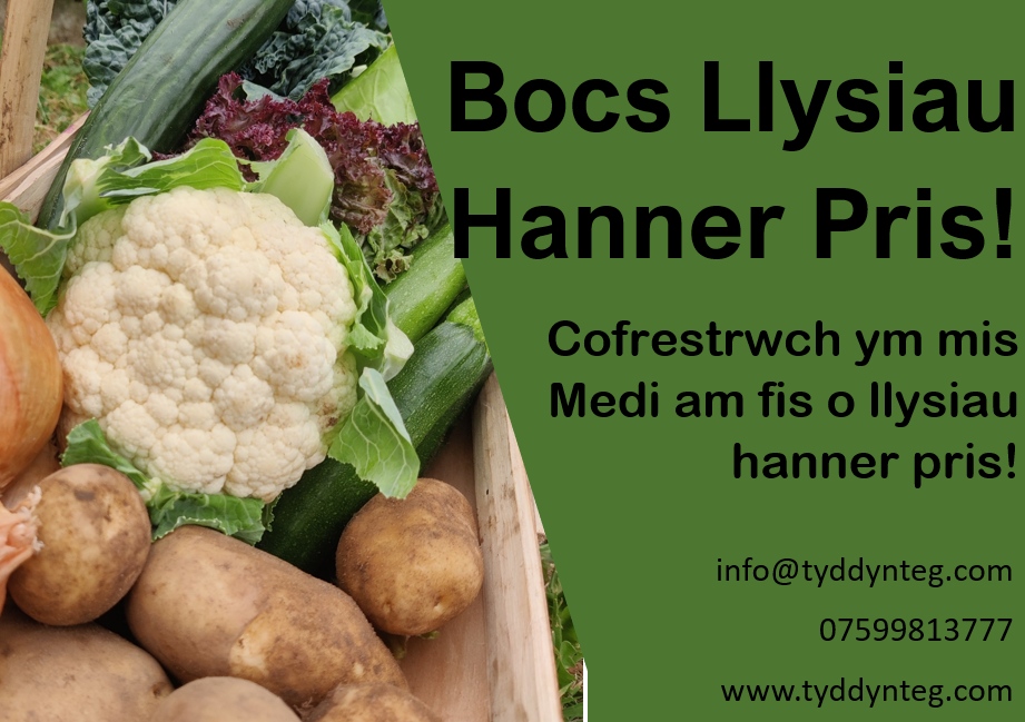 Ydych chi wedi bod yn chwilio am rywle i gael llysiau lleol ffres? Cofrestrwch am Focs Llysiau Tyddyn Teg nawr am fis cyfan o lysiau hanner pris! E-bostiwch info@tyddynteg.com i gofrestru nawr!